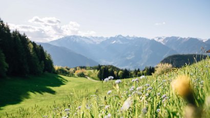 Hotel Avelina: il vostro hotel ad Avelengo, Alto Adige